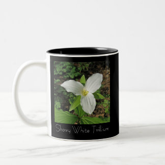 Auffälliger weißer Trillium Zweifarbige Tasse