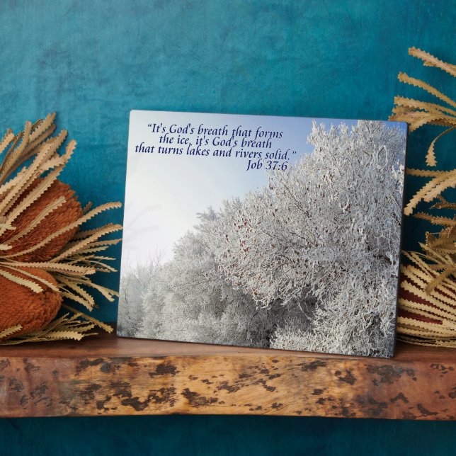 Aufgabe 37:6 Inspirationische Winterlandschaft Fotoplatte (Seite)