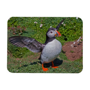 Aufgeblasener Flexi-Magnet Magnet