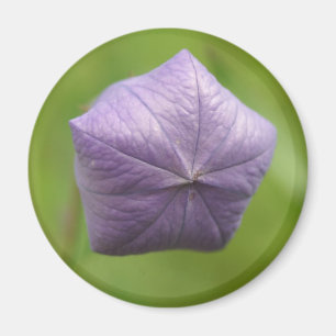 aufgeblasener Magnet