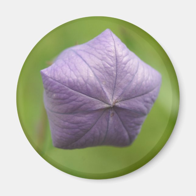 aufgeblasener Magnet (Vorne)