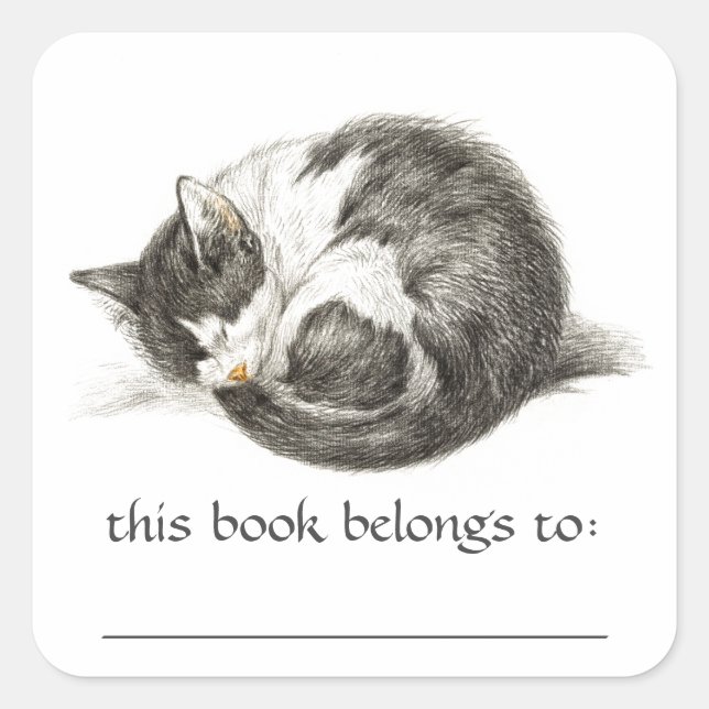 Aufgeklebte Buchzeichen-Sticker für Katzen Quadratischer Aufkleber (Vorderseite)