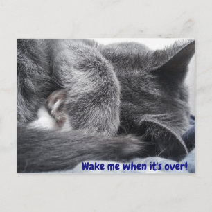 Aufgekurbelte Kitekarte Postkarte