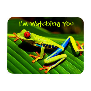 Aufgepasst durch Baum-Frosch-Kühlschrankmagnet Magnet