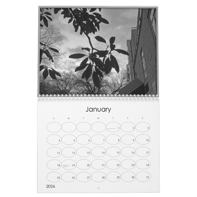 aufgeräumt (Schwarzweiss-alanart Fotografie) Kalender (Jan 2026)