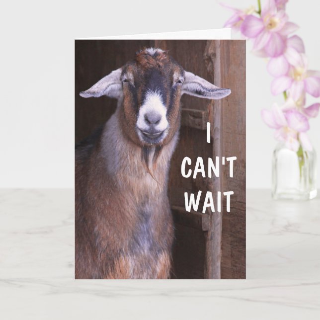 Aufgeregt Ziege glücklich Geburtstag Karte (Orchidee)
