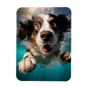 Aufgeregter Hund Schwimmt Unterwasser Design Magnet