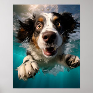 Aufgeregter Hund Schwimmt Unterwasser Design Poster