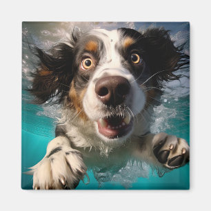 Aufgeregtes Hundeschwimmen unter Wasser Magnet