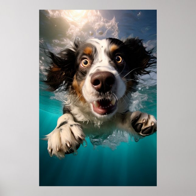 Aufgeregtes Hundeschwimmen unter Wasser Poster (Vorne)