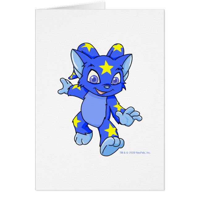 Aufgeregtes sternenklares Acara (Vorne)