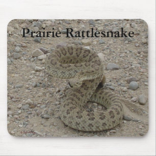 Aufgerollte Prairie-Klapperschlange Mousepad