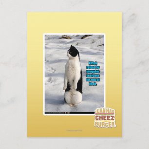 Aufgewachsen von Pinguinen Postkarte