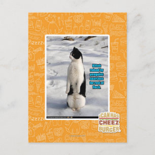 Aufgewachsen von Pinguinen Postkarte