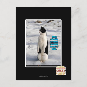 Aufgewachsen von Pinguinen Postkarte
