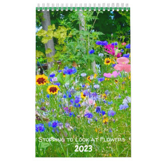 Aufhören, sich die Blume im Jahr 2023 anzusehen Kalender