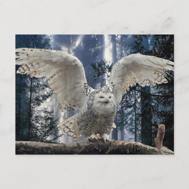 aufkeimen postkarte (Vorderseite)