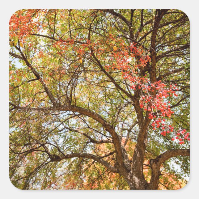 Aufkleber (Vorderseite)