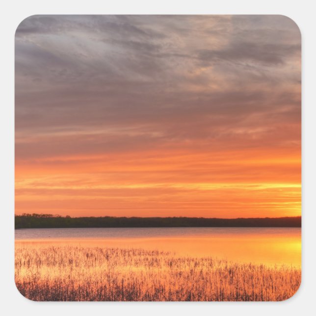 Aufkleber (Vorderseite)