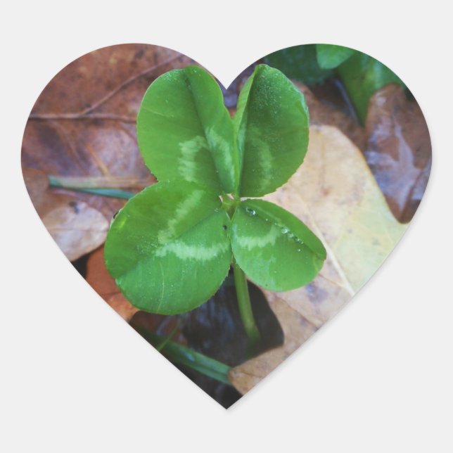 Aufkleber (Vorderseite)