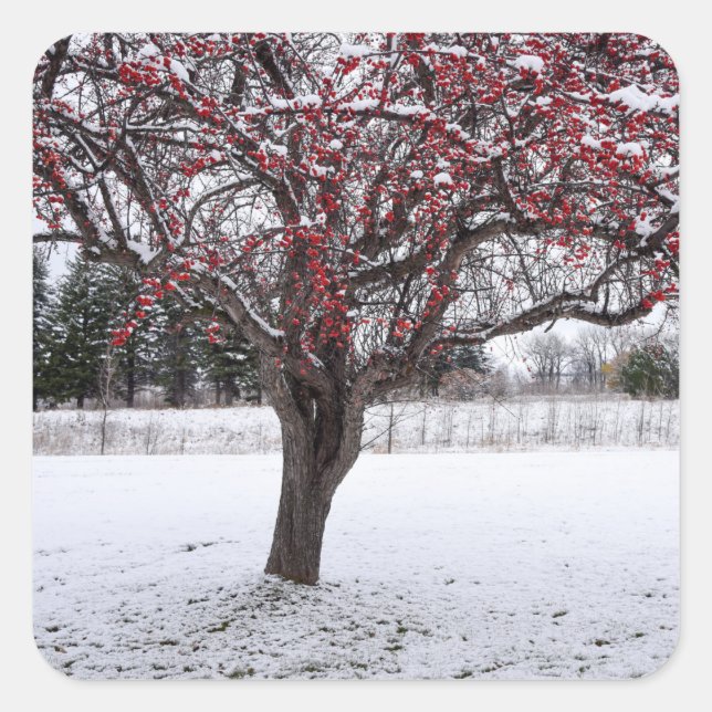 Aufkleber (Vorderseite)