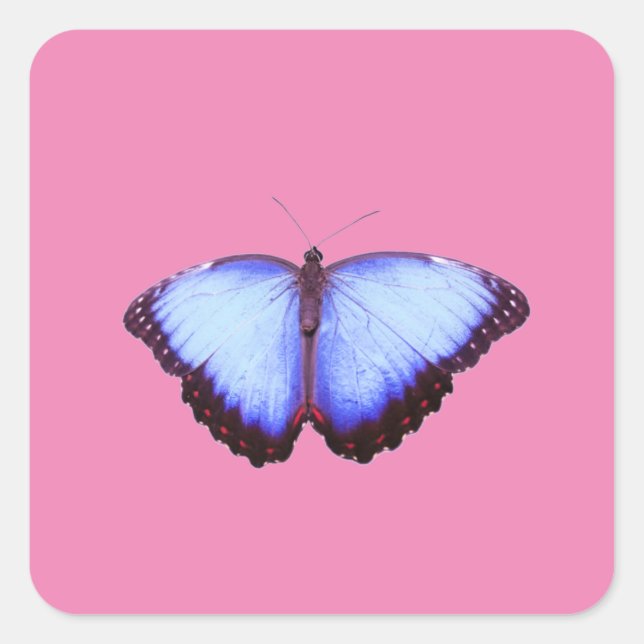 Aufkleber (Vorderseite)