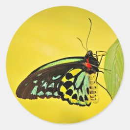 Aufkleber