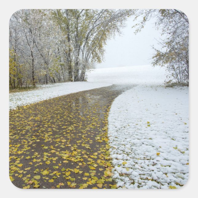 Aufkleber (Vorderseite)