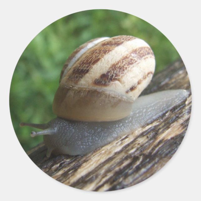 Aufkleber (Vorderseite)