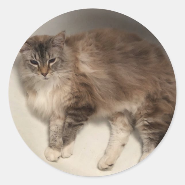 Aufkleber (Vorderseite)