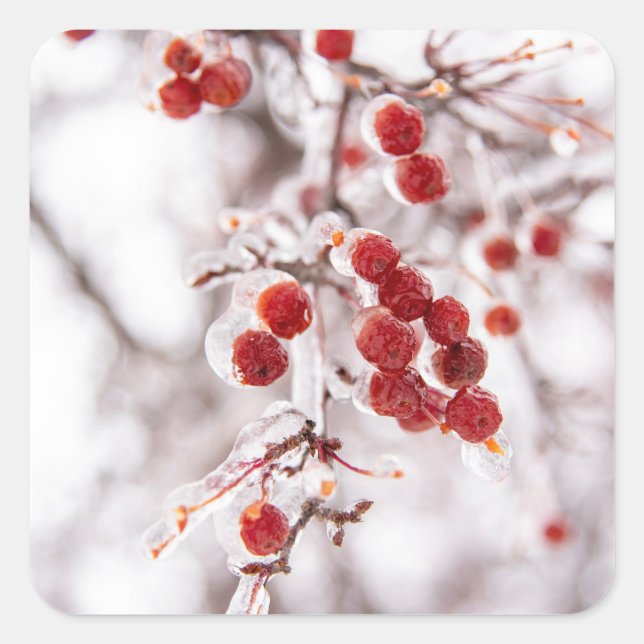 Aufkleber (Vorderseite)