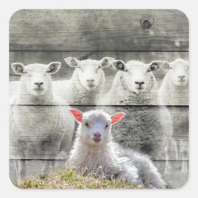 Aufkleber (Vorderseite)