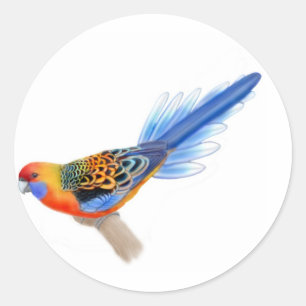 Aufkleber Adelaides Rosella