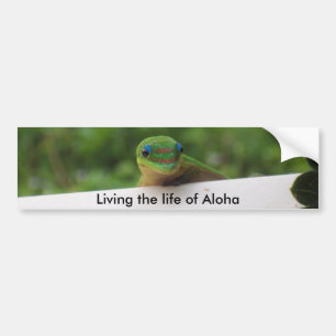 Aufkleber Aloha Gecko Autoaufkleber