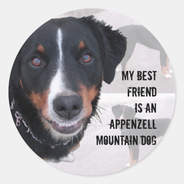 Aufkleber "Appenzeller Sennenhund" (Vorderseite)