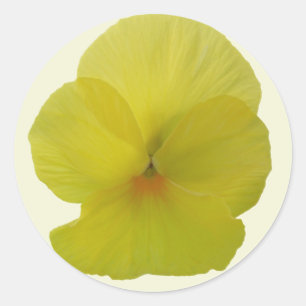 Aufkleber - Bartete Lemon Pansy