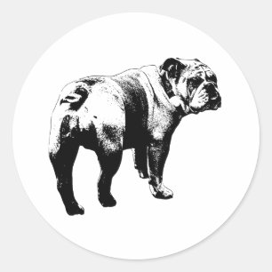 Aufkleber Bulldogge, sauber geschnitten