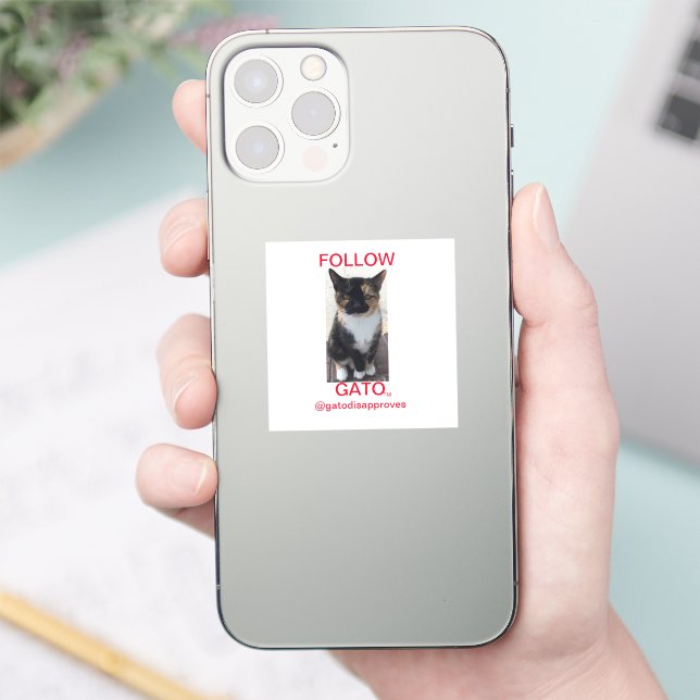 Aufkleber FOLLOG GATO, Alle Kappen (Telefon)