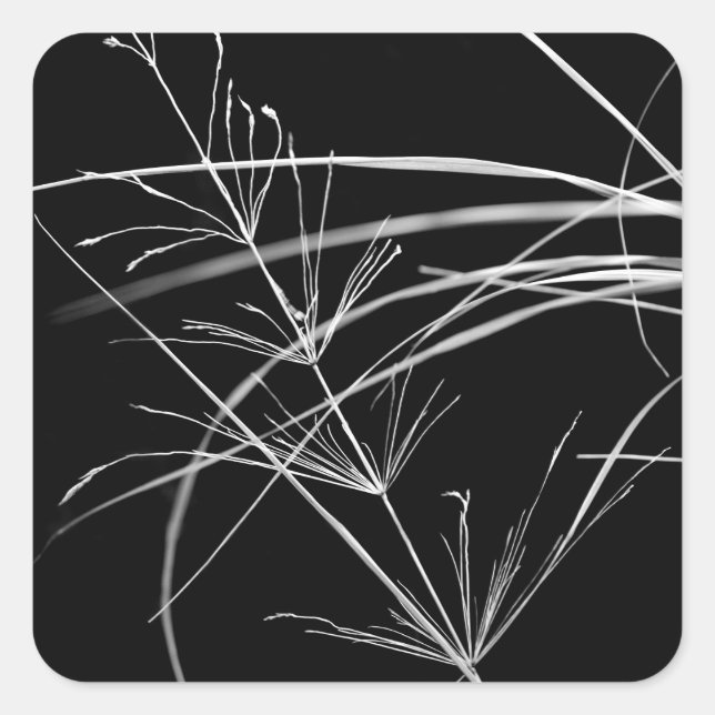 Aufkleber für abstrakte Grasart (Vorderseite)