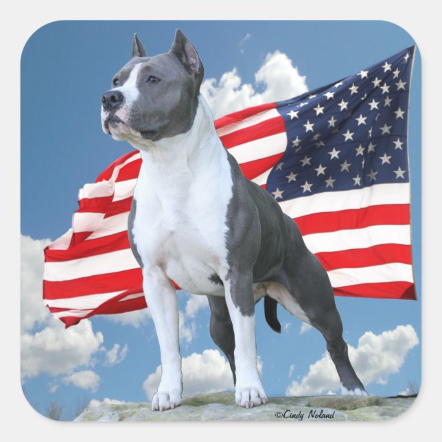 Aufkleber für American Staffordshire Terrier (Pit  (Vorderseite)