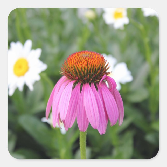 Aufkleber für Blume (Vorderseite)