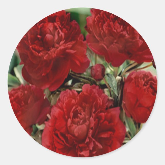 Aufkleber für Blume der roten Narben (Vorderseite)