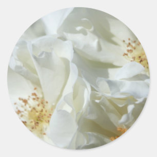 Aufkleber für Blumenfotografie von Wild White Rose