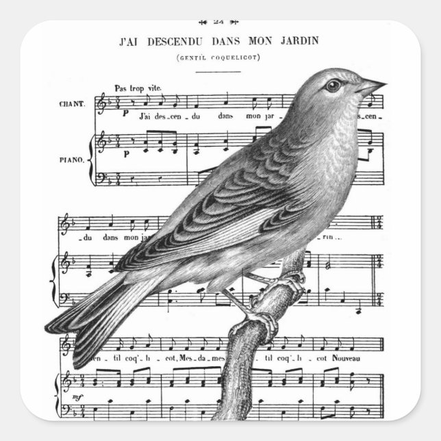 Aufkleber für das französische Bird-Song-Musik-Squ (Vorderseite)