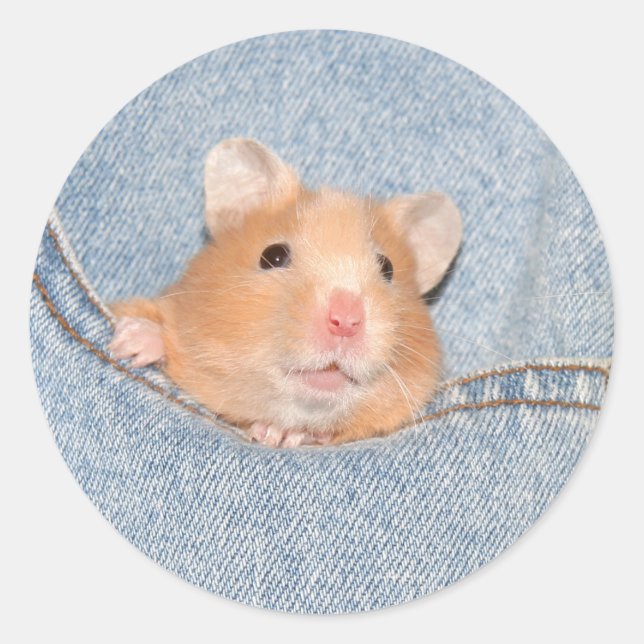 Aufkleber für das Pocket Hamster (Vorderseite)