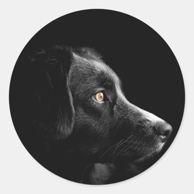 Aufkleber für das schwarze Labrador (Vorderseite)