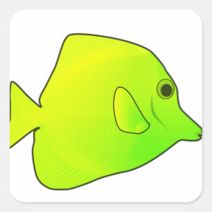Aufkleber für den Fischplatz