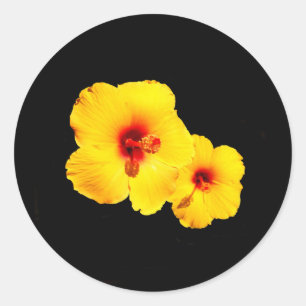 Aufkleber für den gelben Hibiskus