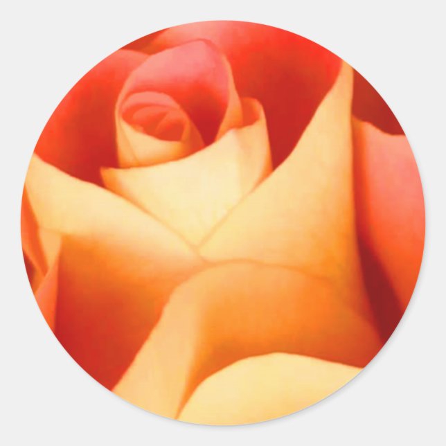 Aufkleber für den Umschlag Aufkleber Peach-Rose (Vorderseite)