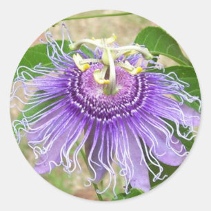 Aufkleber für die Blume von Leidenschaft